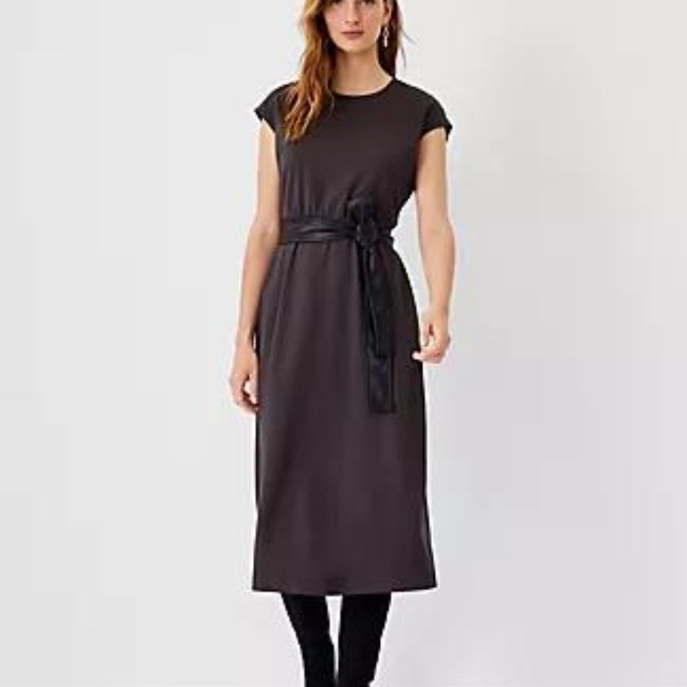 Ann Taylor Faux Leather Belted Flare Dress - Picture 1 of 4